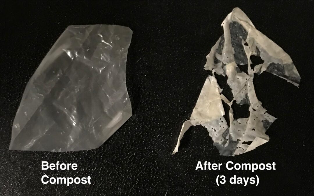 Plastics Disappear Like Magic- But With Science!