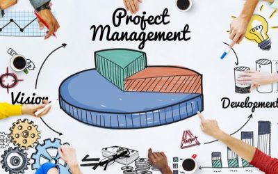 Service Spotlight: Project Management Aligned to Your Timeline